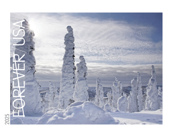 2025 Winter Landscapes Stamps USPS Forever Stamps image 5