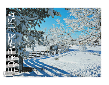2025 Winter Landscapes Stamps USPS Forever Stamps image 3