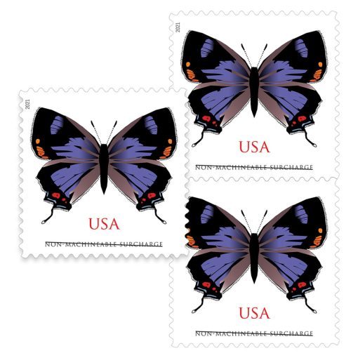 2021 Colorado Hairstreak Forever®Stamps | Tool Stamps US Postage Stamps