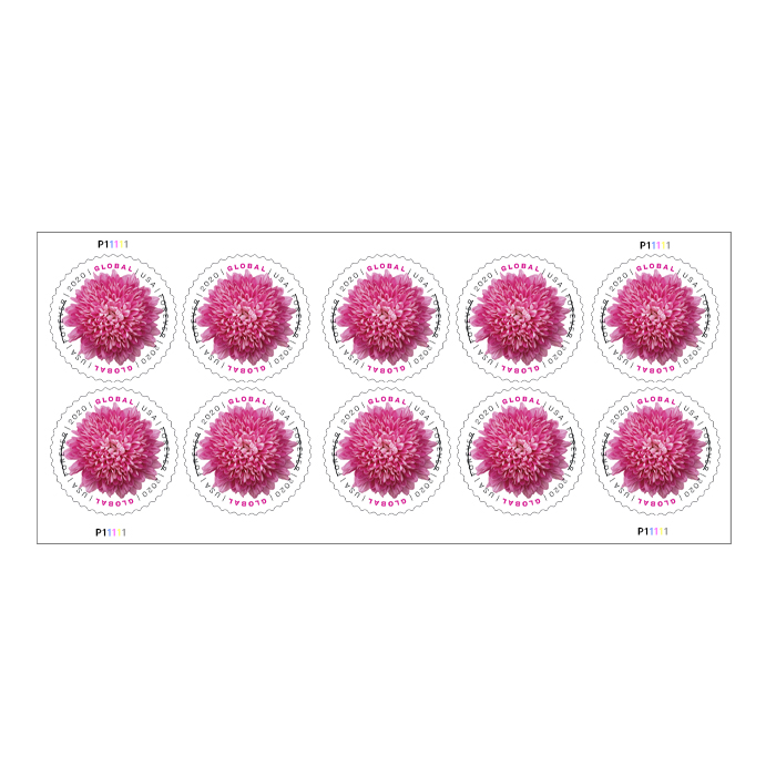 2020 Globe Chrysanthemum First-Class Mail International® | Tool Stamps US Postage Stamps