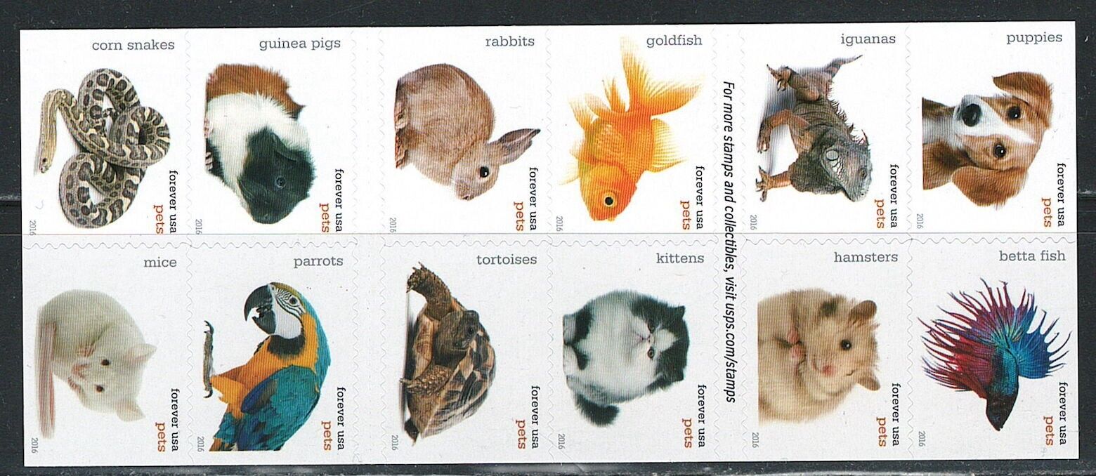 2016 Pets Celebrate Animals stamps | Tool Stamps US Postage Stamps