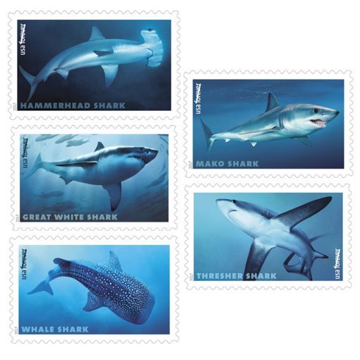 2017 Shark Forever®Stamp | Tool Stamps US Postage Stamps