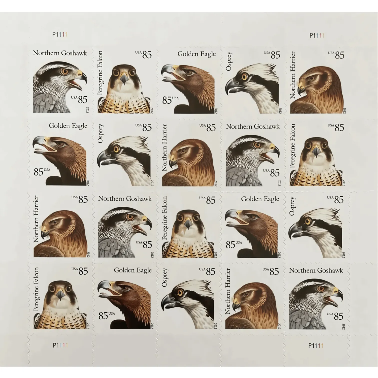 2012 BIRDS OF PREY Stamps 100 PCS | Tool Stamps US Postage Stamps