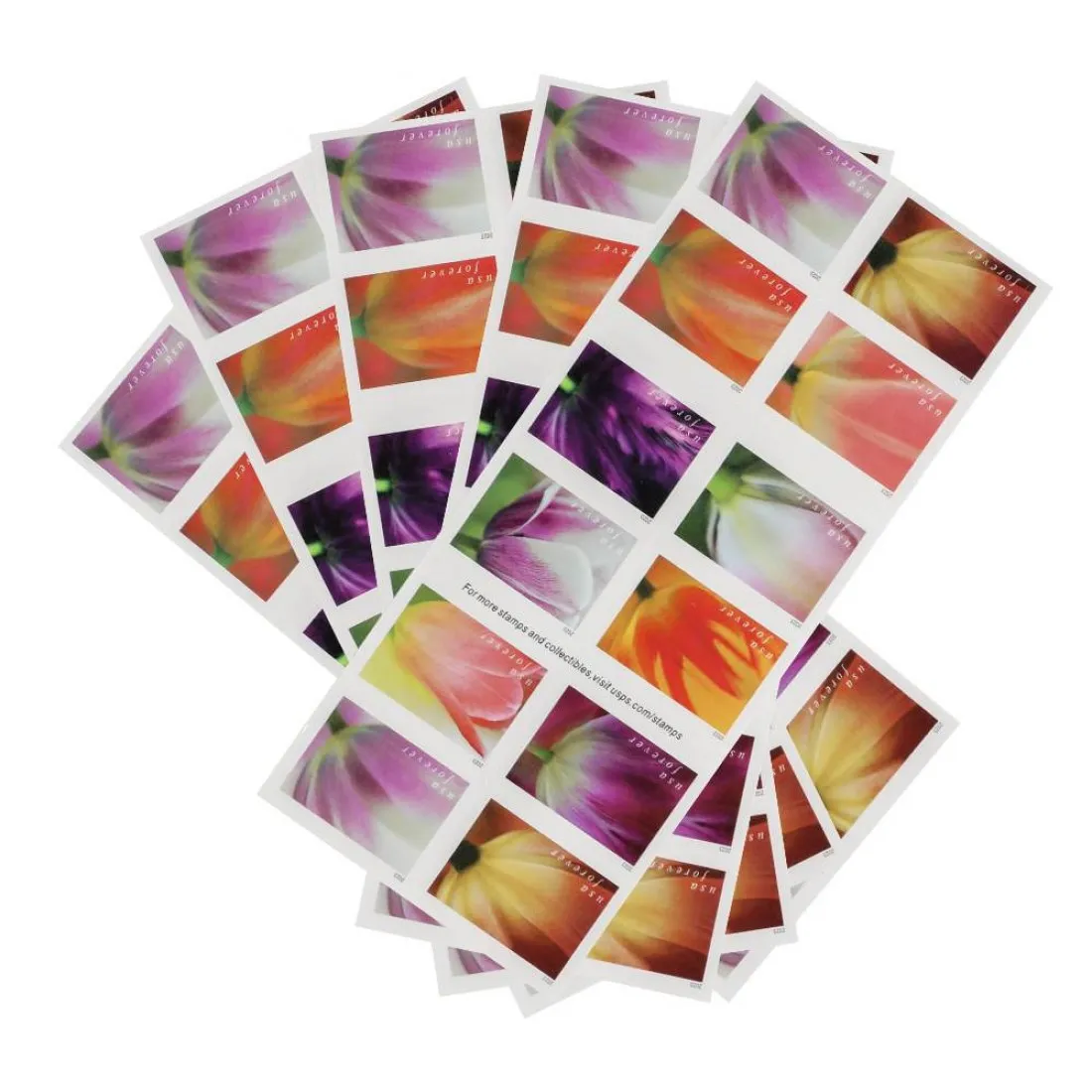 2023 Tulip Blossoms | Tool Stamps US Postage Stamps