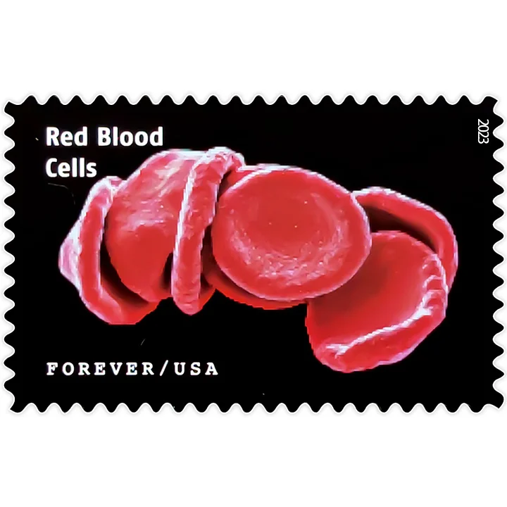 2023 Life Magnified Stamps | Tool Stamps US Postage Stamps