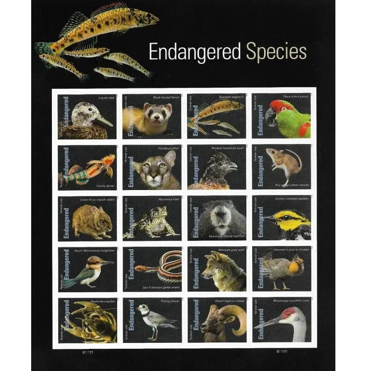2023 Endangered Species Stamps | Tool Stamps US Postage Stamps