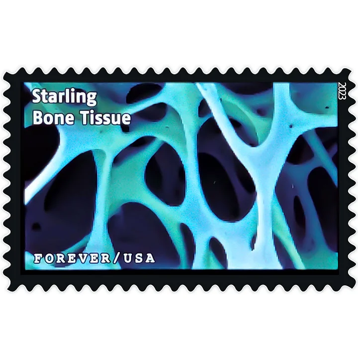 2023 Life Magnified Stamps | Tool Stamps US Postage Stamps