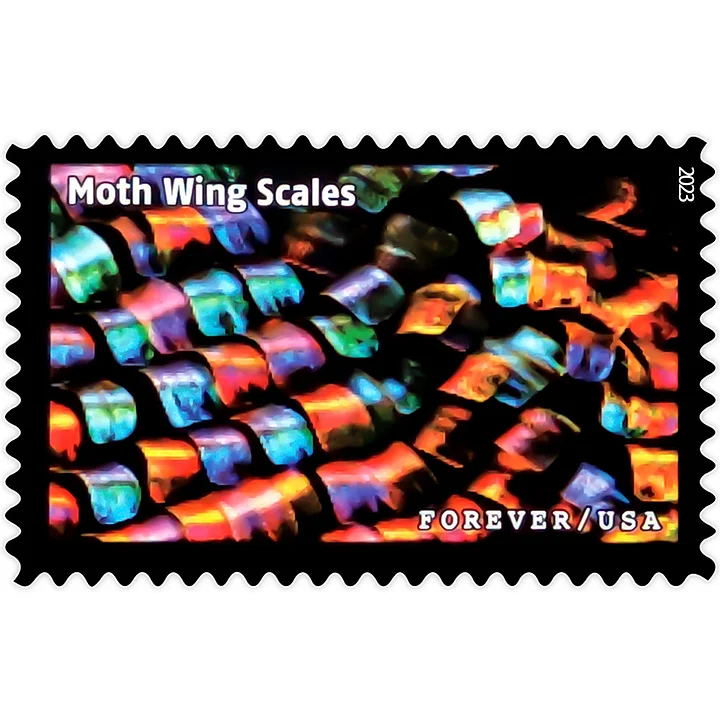 2023 Life Magnified Stamps | Tool Stamps US Postage Stamps