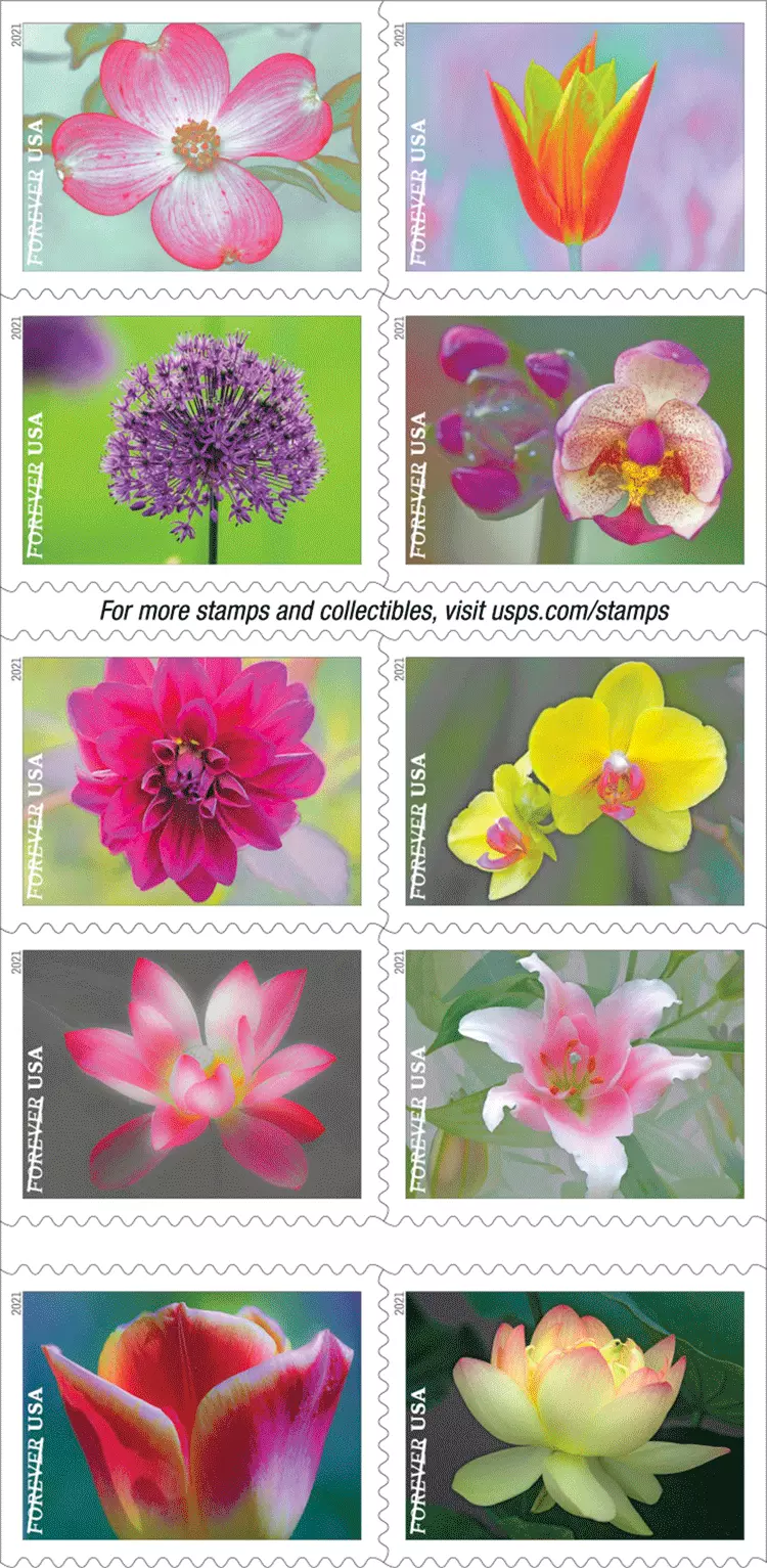 2021 Garden Beauty Stamps | Tool Stamps US Postage Stamps