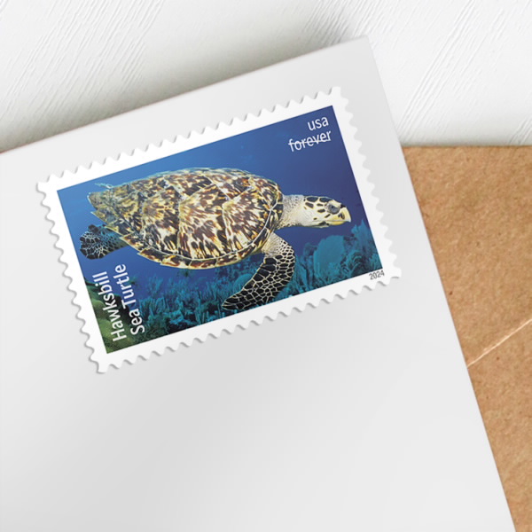 2024 Protect Sea Turtles Stamps | Tool Stamps US Postage Stamps