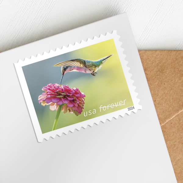 2024 Garden Delights Stamps | Tool Stamps US Postage Stamps
