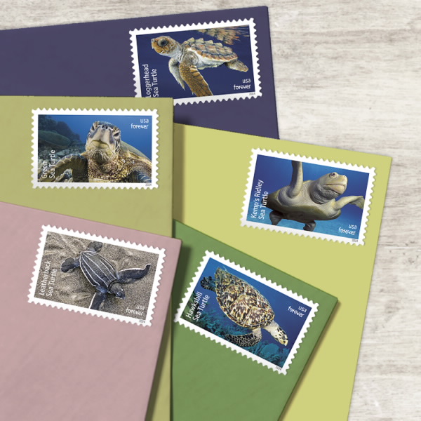 2024 Protect Sea Turtles Stamps | Tool Stamps US Postage Stamps