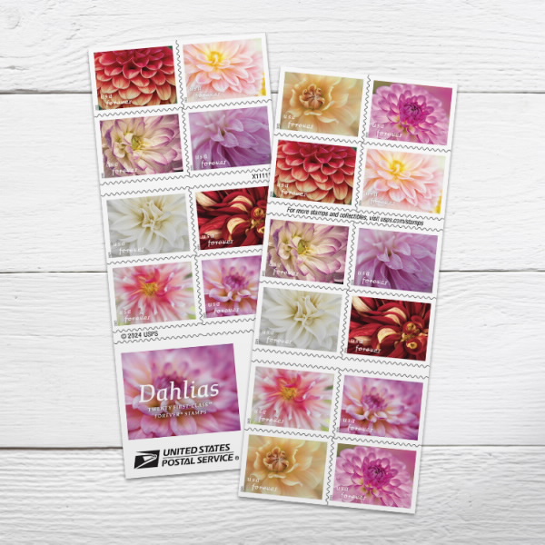 2025 Forever Stamps Dahlias Stamps 500 pcs | Tool Stamps US Postage Stamps