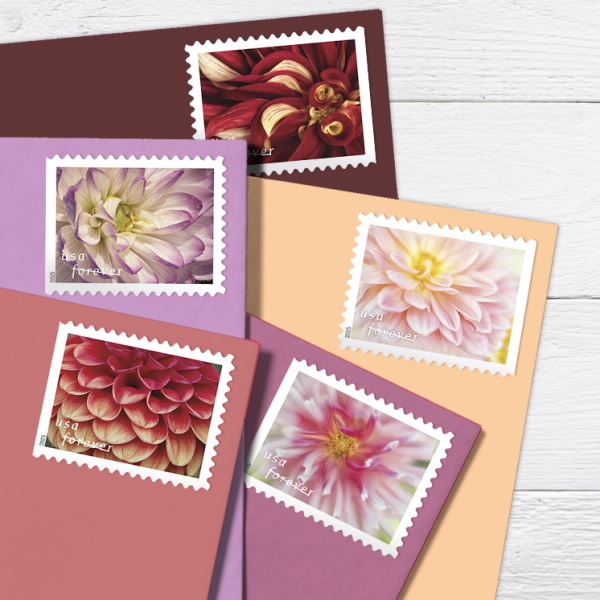 2025 Forever Stamps Dahlias Stamps | Tool Stamps US Postage Stamps