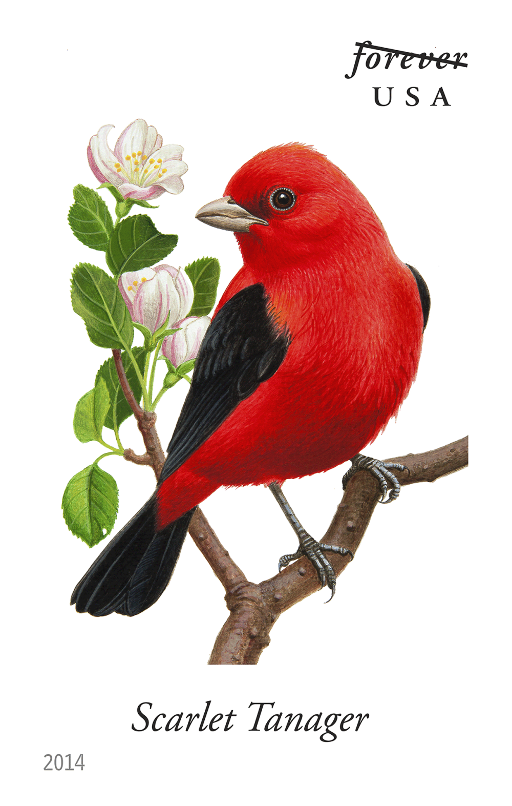 2014 Song Birds Stamps | Tool Stamps US Postage Stamps