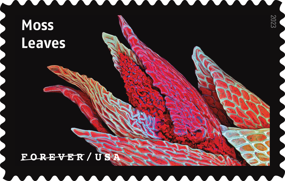 2023 Life Magnified Stamps | Tool Stamps US Postage Stamps