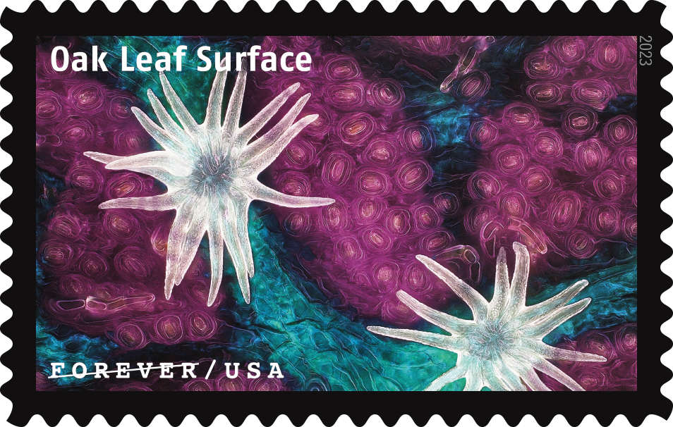 2023 Life Magnified Stamps | Tool Stamps US Postage Stamps