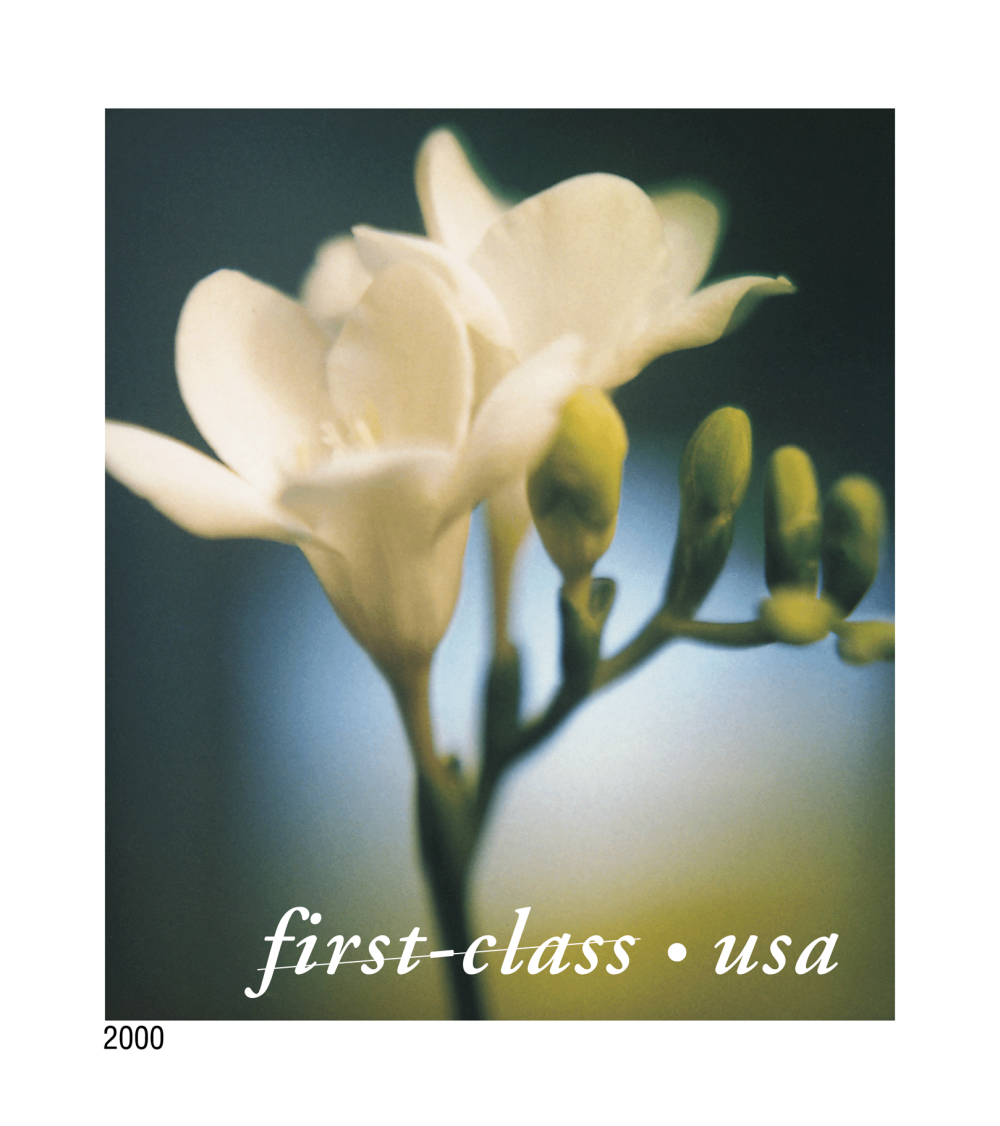 2000 Flowers Stamps | Tool Stamps US Postage Stamps