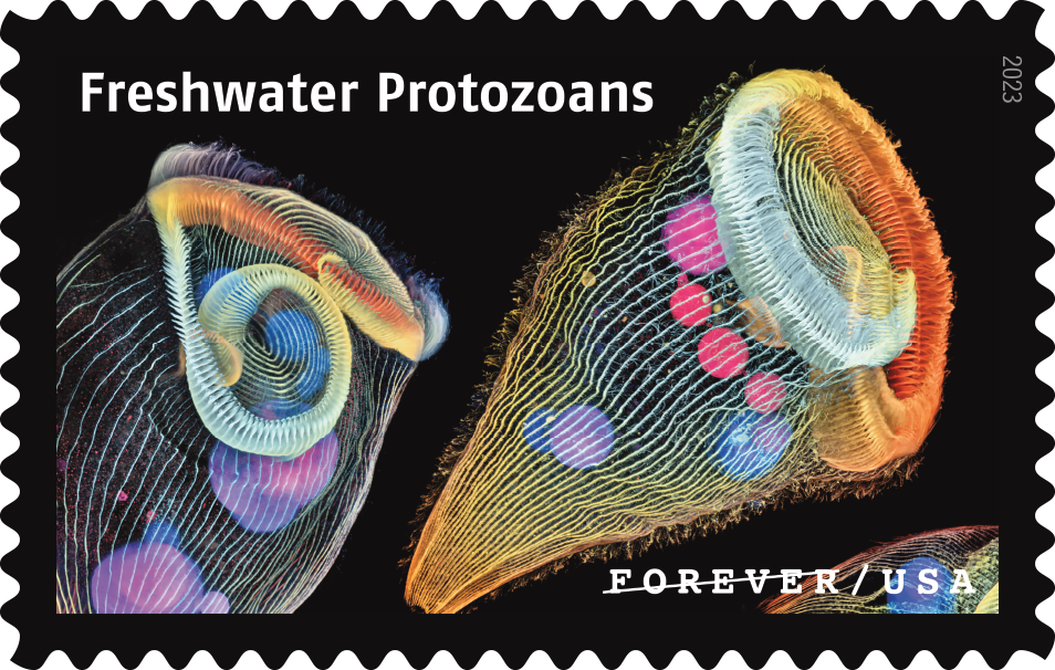 2023 Life Magnified Stamps | Tool Stamps US Postage Stamps