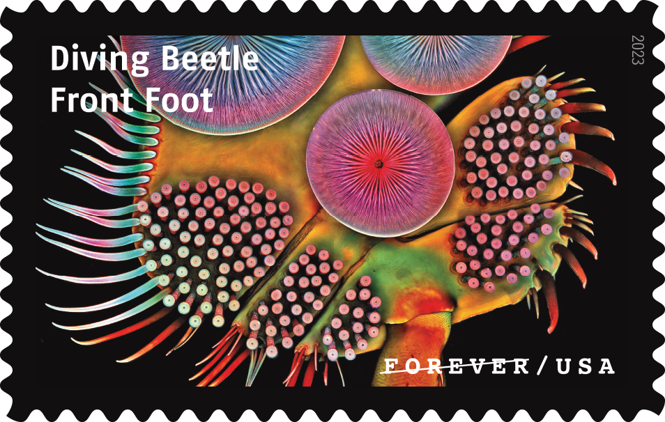 2023 Life Magnified Stamps | Tool Stamps US Postage Stamps