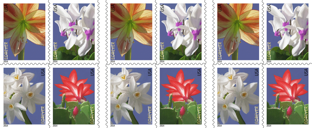 2014 Winter Flowers Stamps | Tool Stamps US Postage Stamps