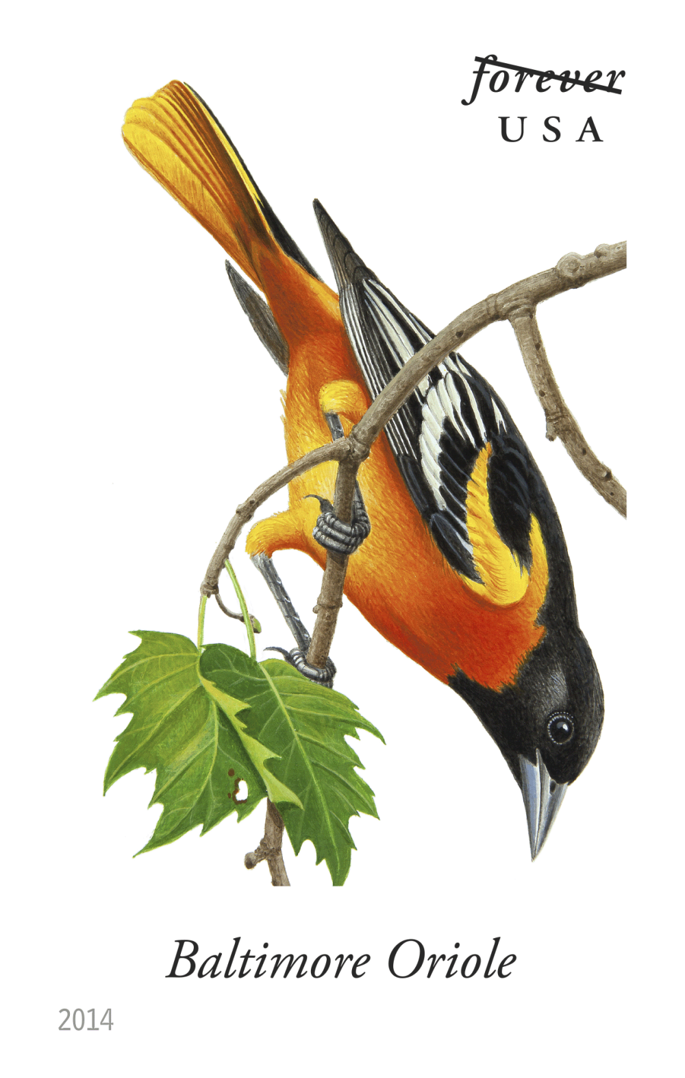 2014 Song Birds Stamps | Tool Stamps US Postage Stamps