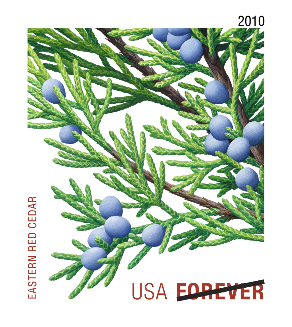 2010 Evergreens Stamps | Tool Stamps US Postage Stamps