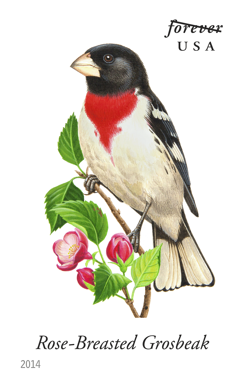 2014 Song Birds Stamps | Tool Stamps US Postage Stamps