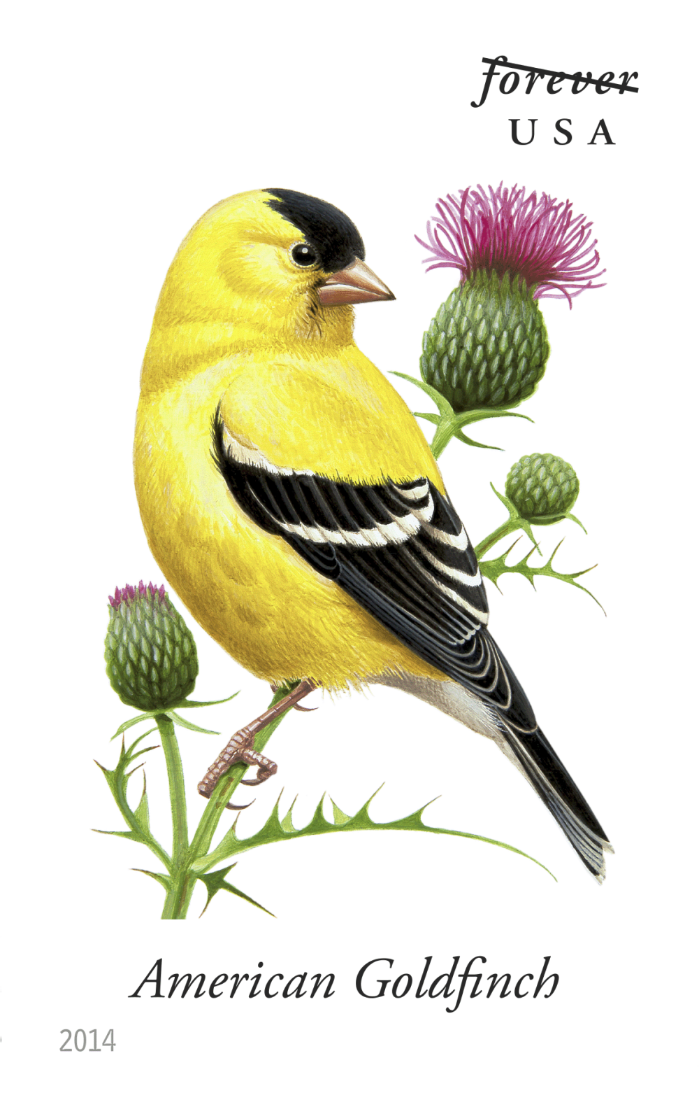 2014 Song Birds Stamps | Tool Stamps US Postage Stamps