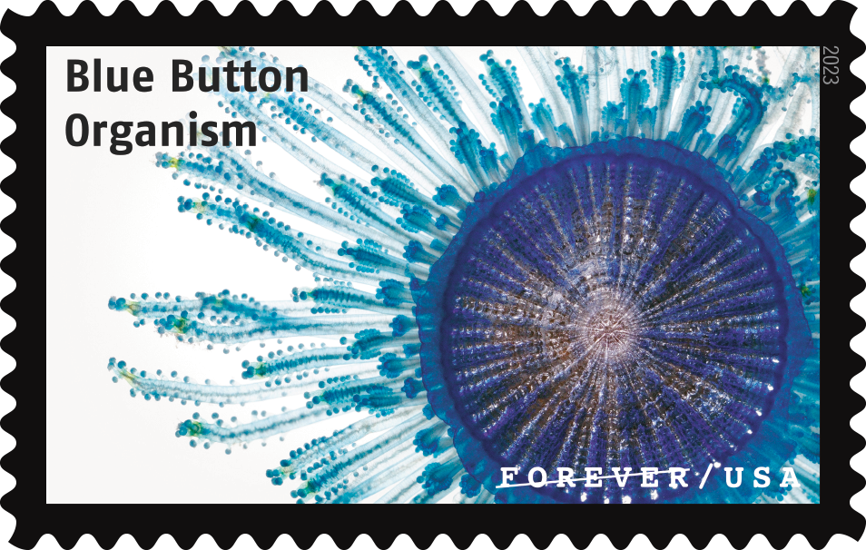 2023 Life Magnified Stamps | Tool Stamps US Postage Stamps