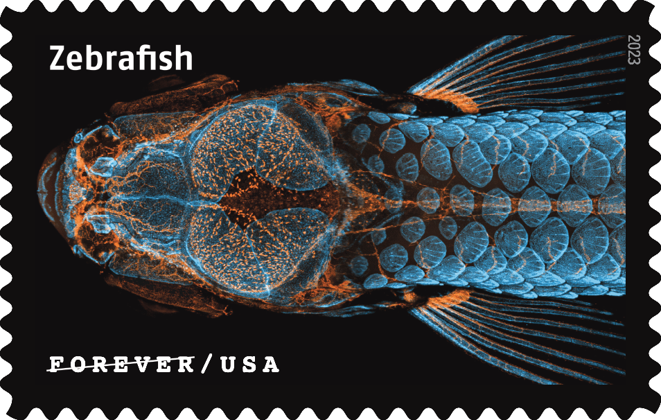 2023 Life Magnified Stamps | Tool Stamps US Postage Stamps