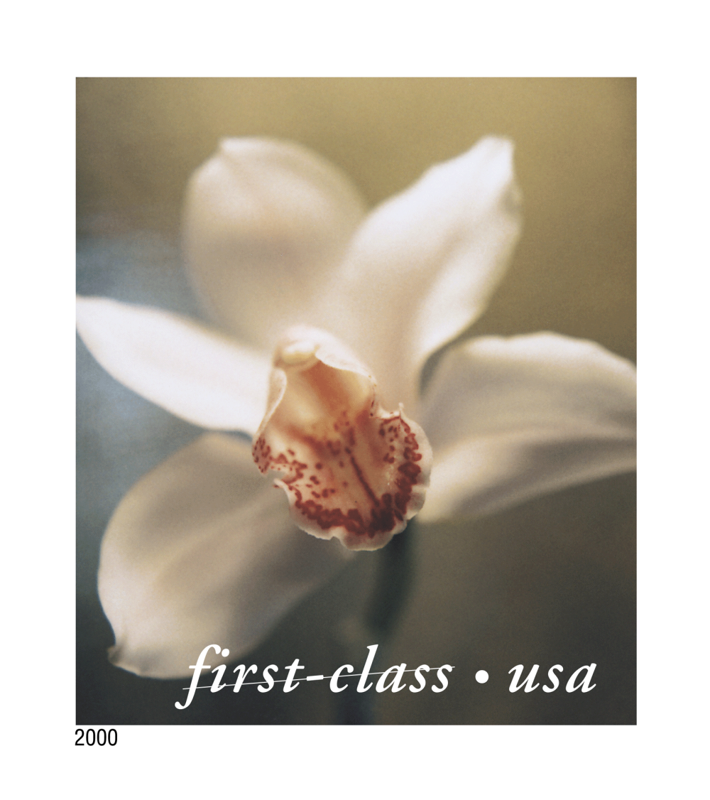 2000 Flowers Stamps | Tool Stamps US Postage Stamps