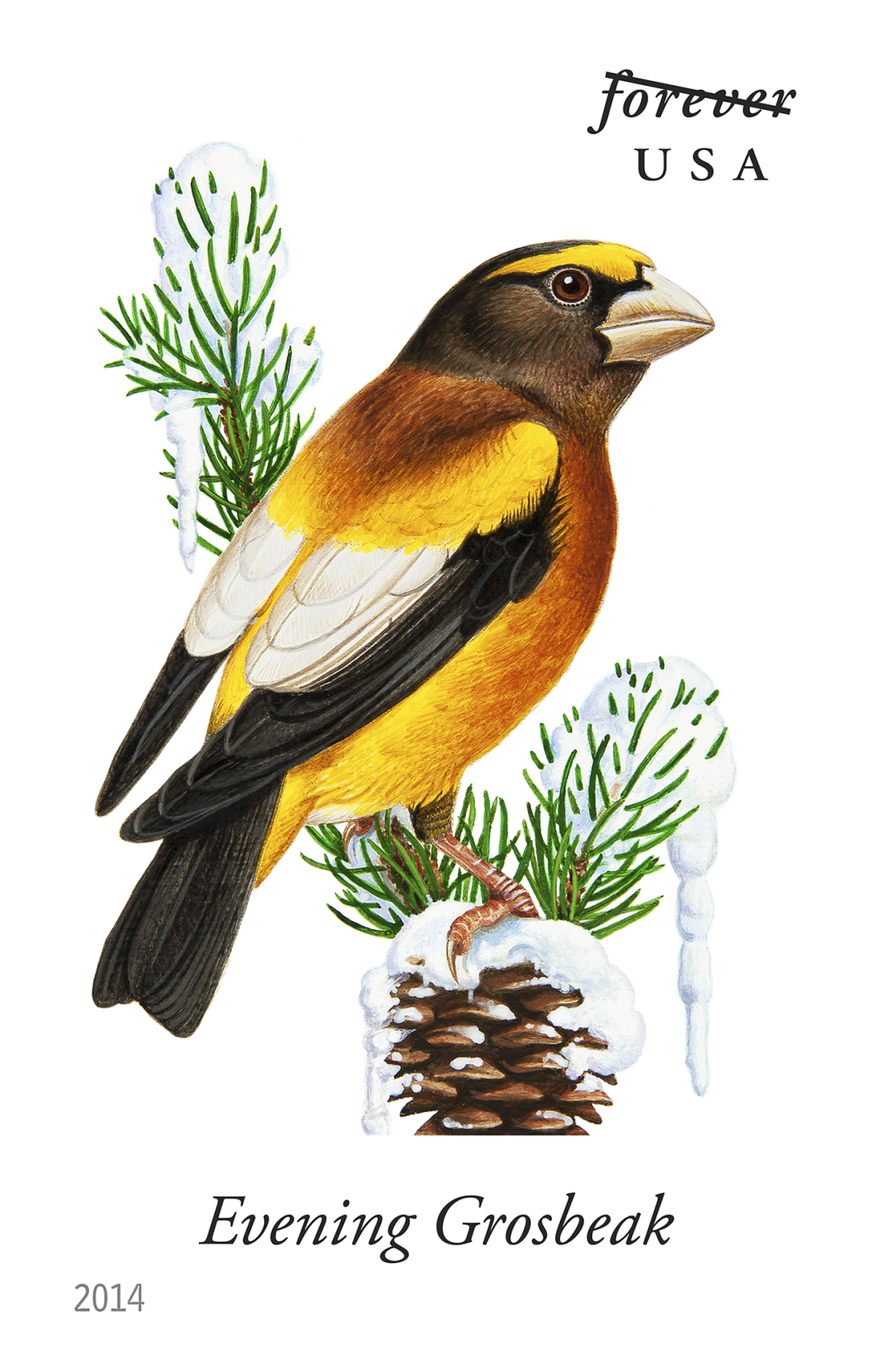 2014 Song Birds Stamps | Tool Stamps US Postage Stamps