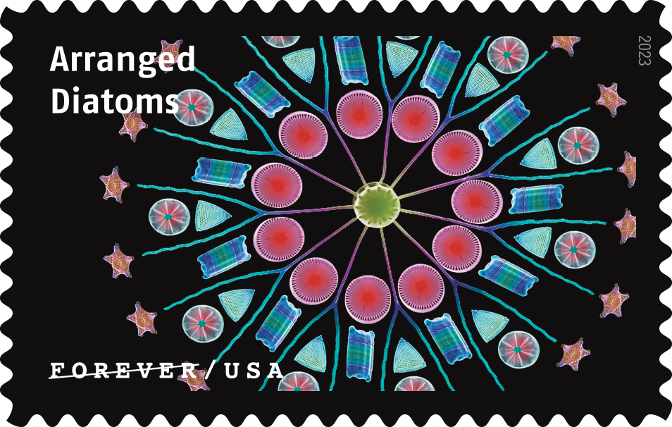 2023 Life Magnified Stamps | Tool Stamps US Postage Stamps