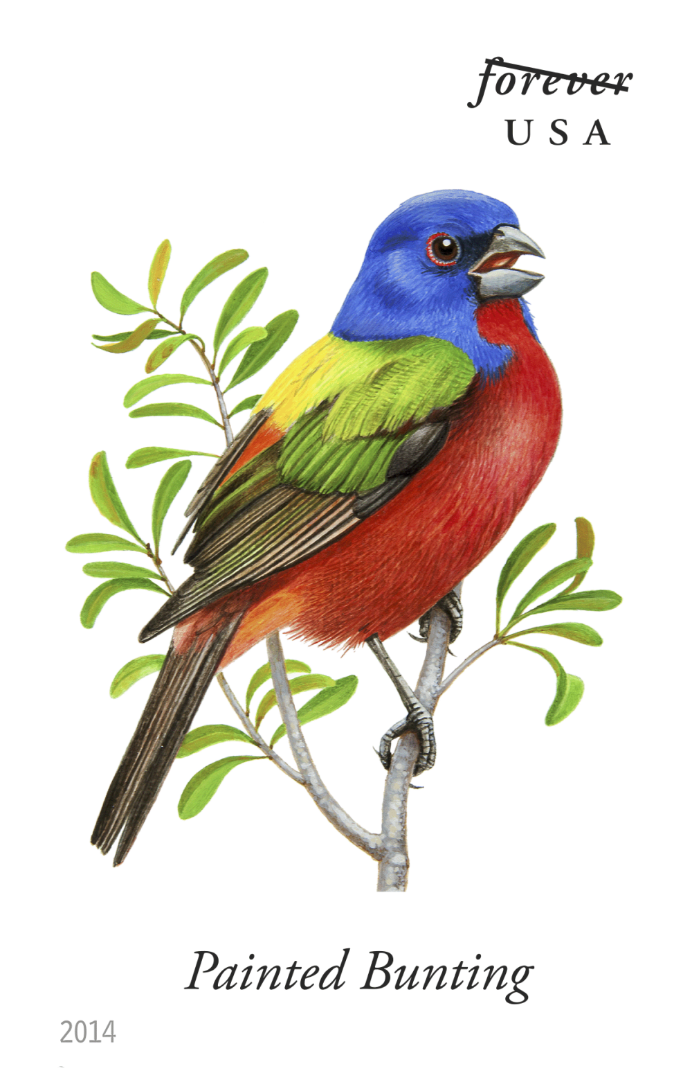 2014 Song Birds Stamps | Tool Stamps US Postage Stamps