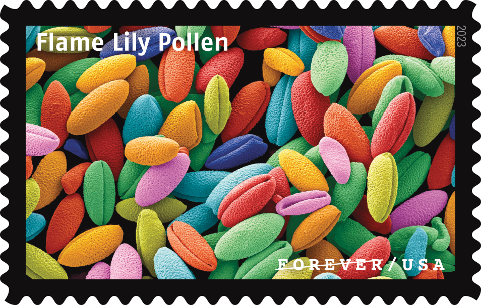 2023 Life Magnified Stamps | Tool Stamps US Postage Stamps