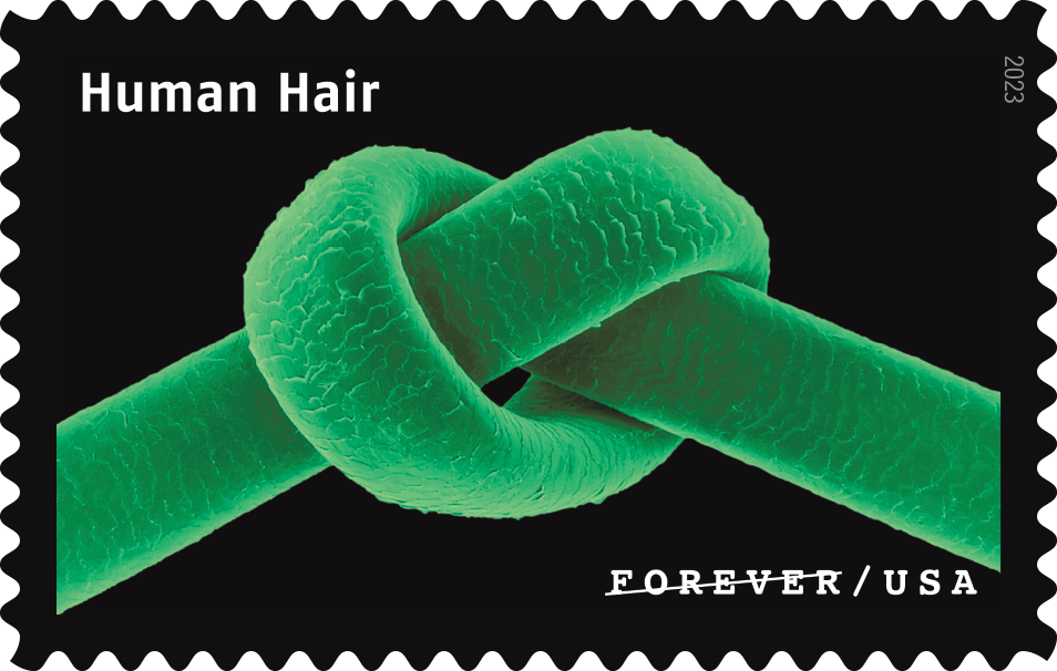 2023 Life Magnified Stamps | Tool Stamps US Postage Stamps