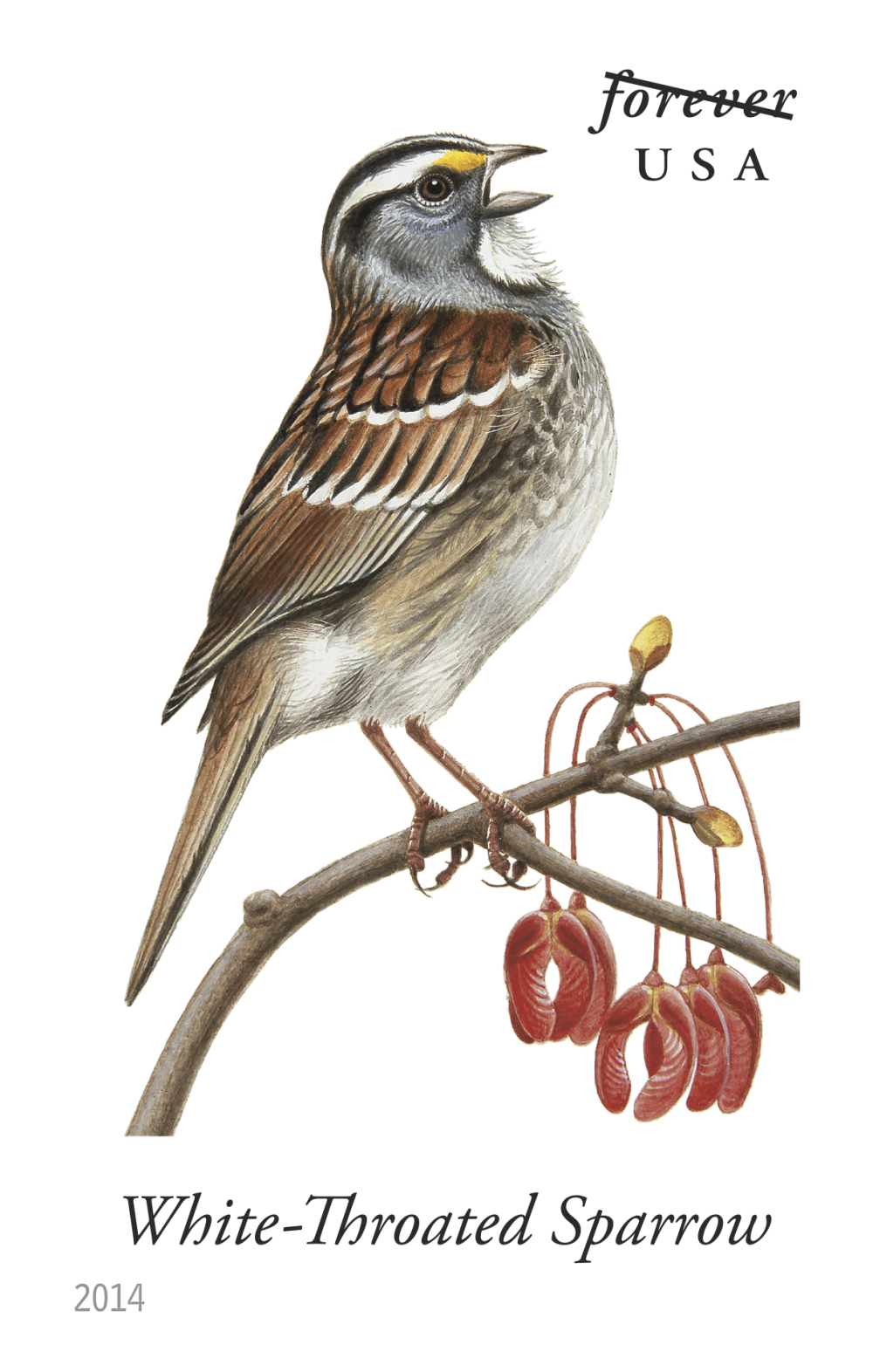 2014 Song Birds Stamps | Tool Stamps US Postage Stamps