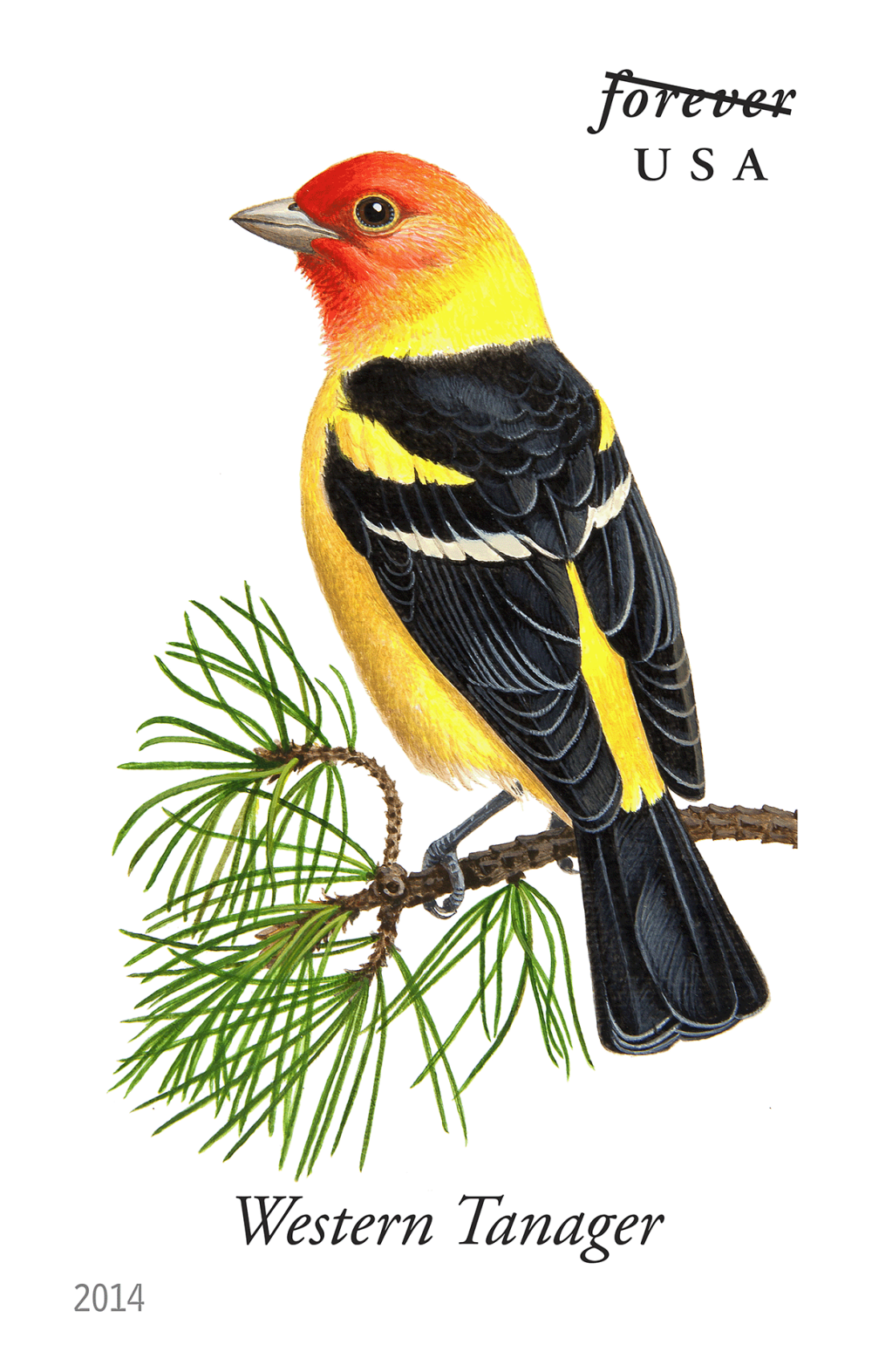 2014 Song Birds Stamps | Tool Stamps US Postage Stamps