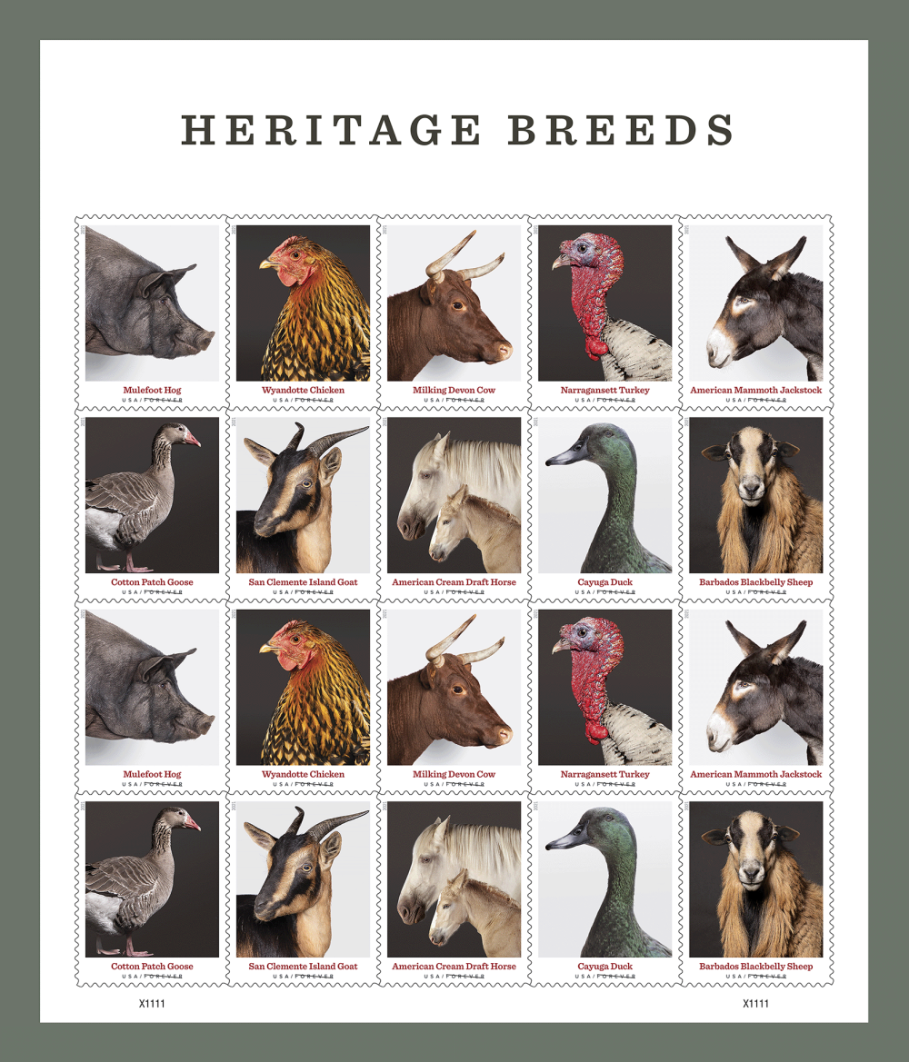 2021 Heritage Breeds Stamps | Tool Stamps US Postage Stamps