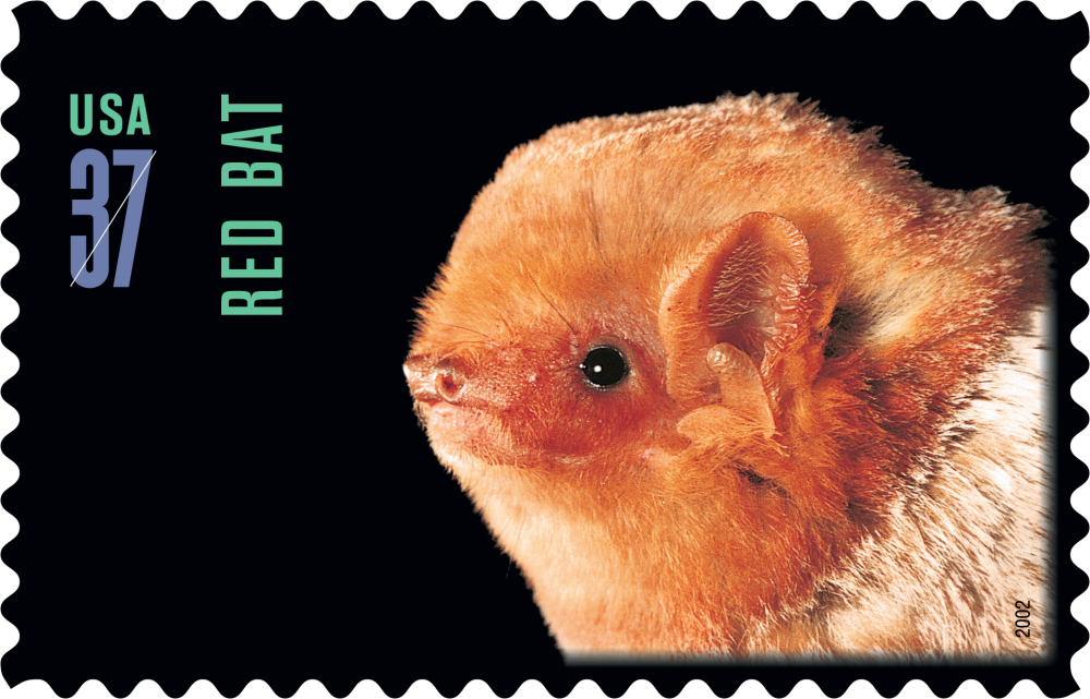 2002 American Bats Stamps | Tool Stamps US Postage Stamps