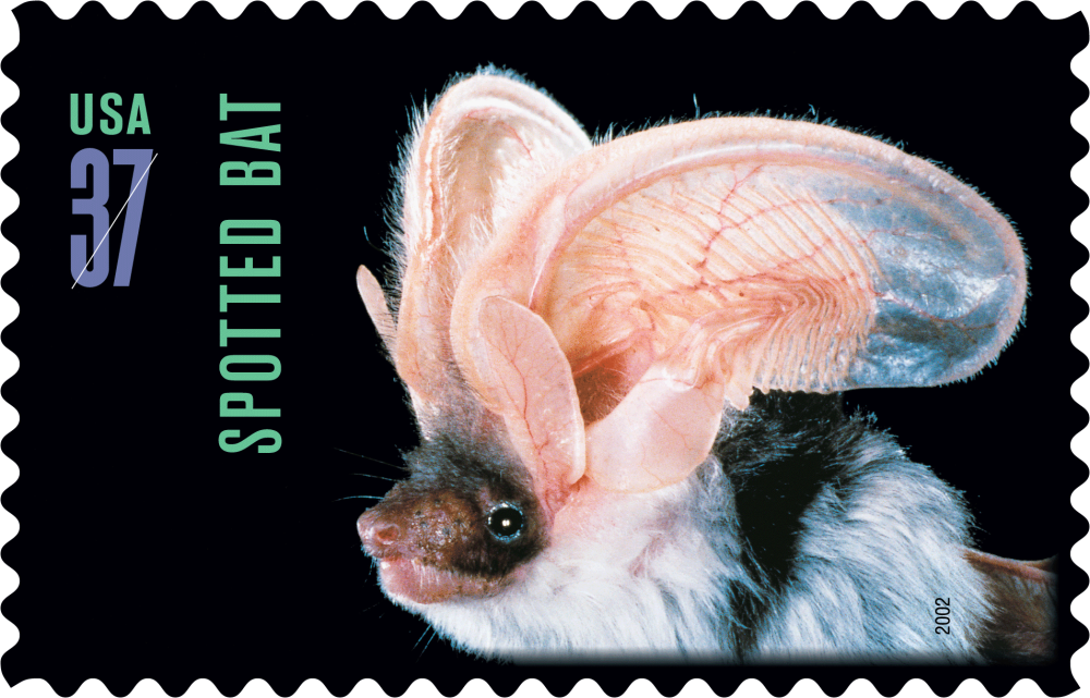 2002 American Bats Stamps | Tool Stamps US Postage Stamps
