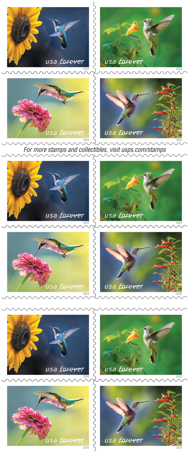 2024 Garden Delights Stamps | Tool Stamps US Postage Stamps