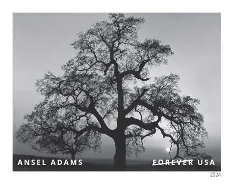 2024 Ansel Adams Stamps | Tool Stamps US Postage Stamps