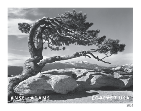 2024 Ansel Adams Stamps | Tool Stamps US Postage Stamps