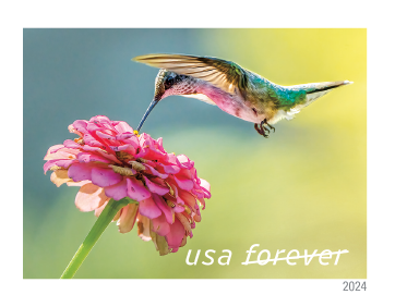 2024 Garden Delights Stamps | Tool Stamps US Postage Stamps