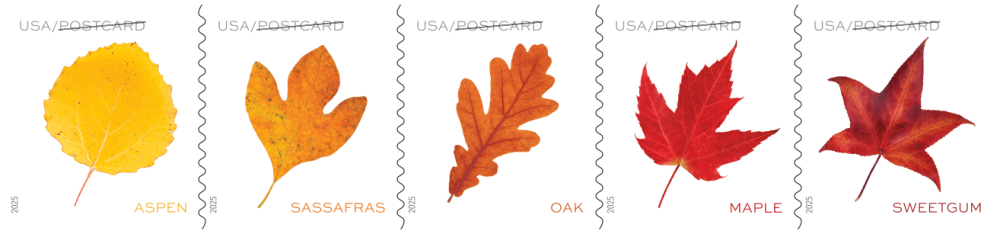 2025 Vibrant Leaves Stamps | Tool Stamps US Postage Stamps