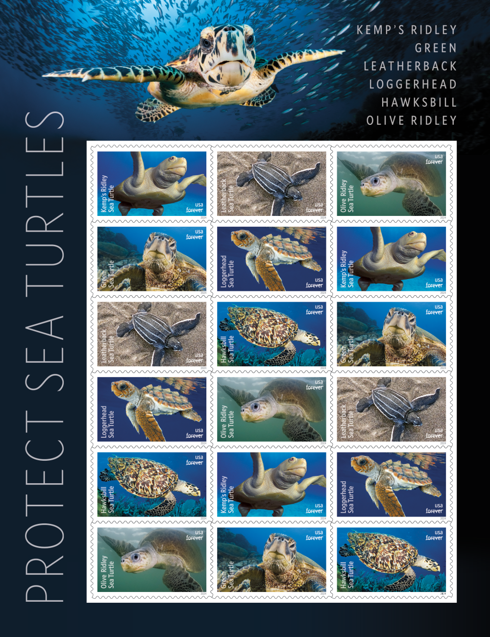 2024 Protect Sea Turtles Stamps | Tool Stamps US Postage Stamps