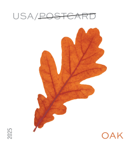 2025 Vibrant Leaves Stamps | Tool Stamps US Postage Stamps