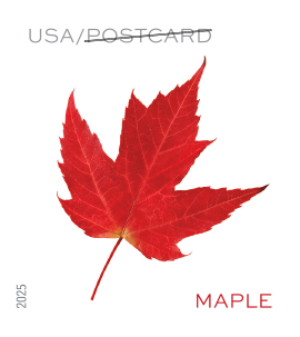 2025 Vibrant Leaves Stamps | Tool Stamps US Postage Stamps
